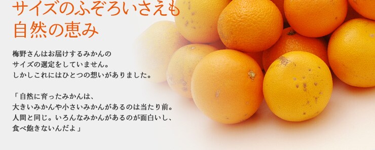 �T�C�Y�̂ӂ��낢���������R�̌b��