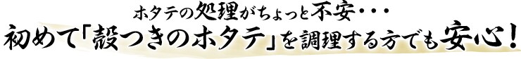�z�^�e�̏�����������ƕs���E�E�E���߂āu�k���̃z�^�e�v�𒲗�������ł����S�I