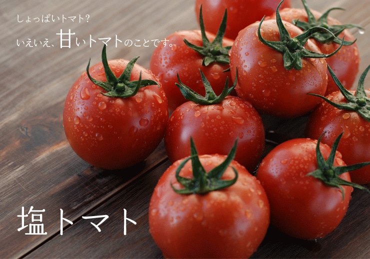 �F�{�����牖�g�}�g���Y�n�����I