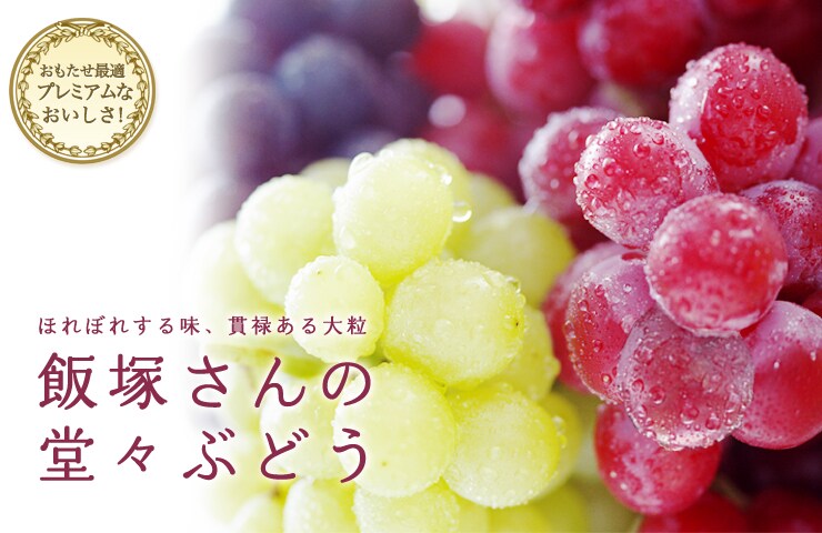 長野県から“飯塚さんの堂々ぶどう”を産地直送!