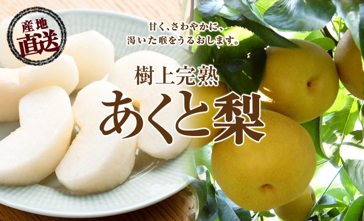 ��錧����g�����Ɗ��n���h���Y�n�����I