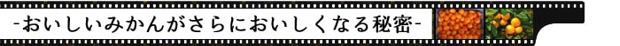��ޓ��L