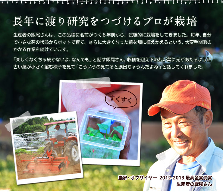 ���N�ɓn�茤�����Â���v�����͔|