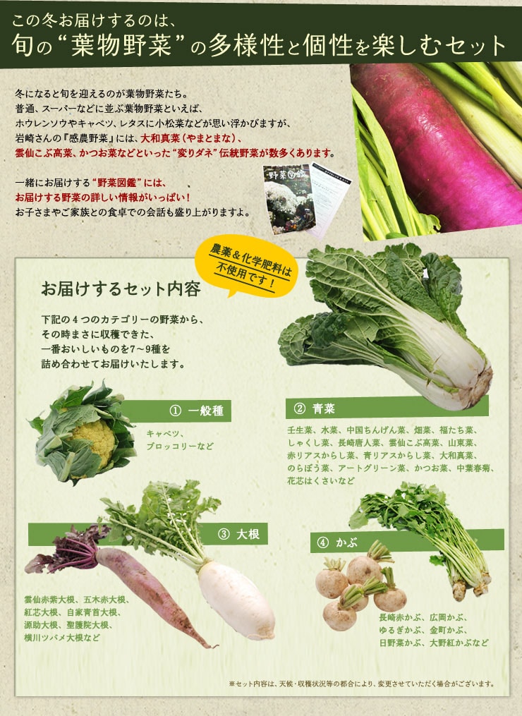 感農野菜』 冬（青菜の多様性） ｜ Oisix産直おとりよせ市場