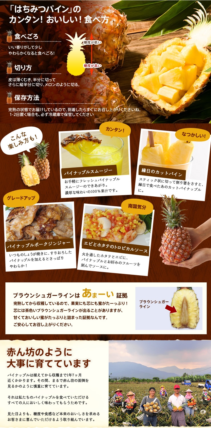 しかも今年は大玉になってパワーアップ!
