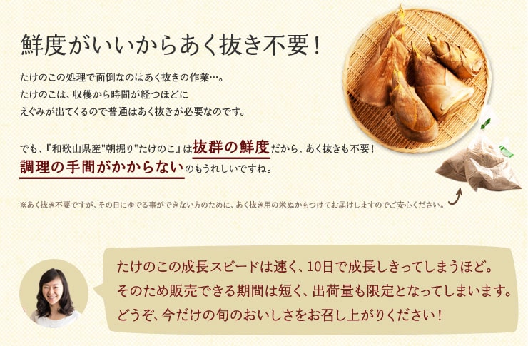 和歌山・山東（さんどう）地区の朝堀直送たけのこ ｜ Oisix産直