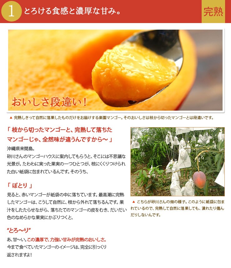 とろける食感と濃厚な甘み。