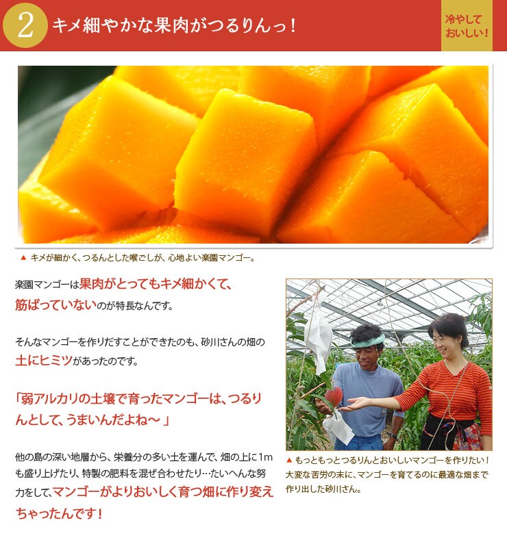 キメ細やかな果肉がつるりんっ!