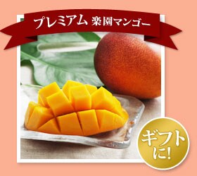 �v���~�A���y���}���S�[�` �M�t�g�ɂ̓R��