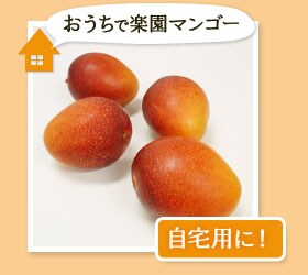 �������Ŋy���}���S�[�` ������p�ɂ̓R��