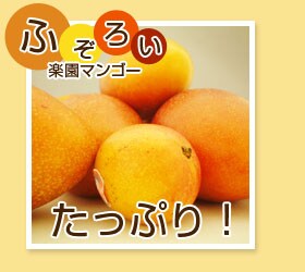 �ӂ��낢�y���}���S�[    �` �v������h�ɂ̓R��