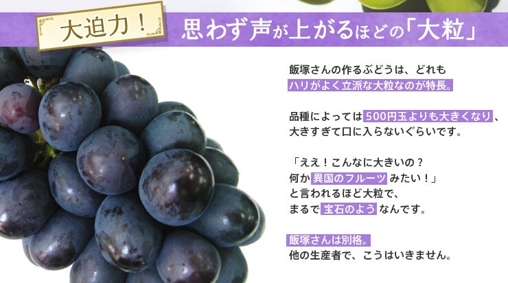 �v�킸�����オ��قǂ́u�嗱�v