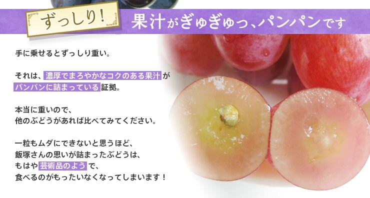 �ʏ`�����ガ����A�p���p���ł�