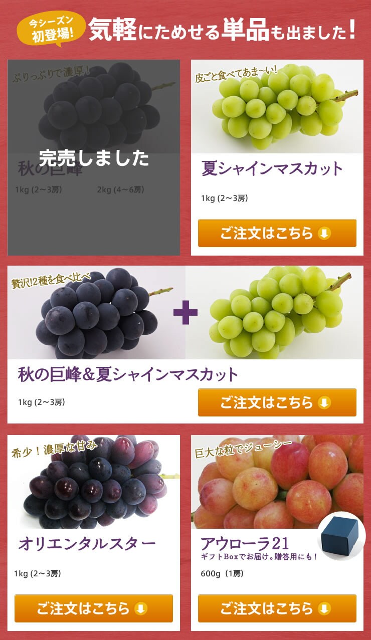 �P�i