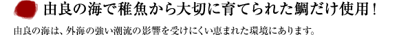 �R�ǂ̊C�Œt�������؂Ɉ�Ă�ꂽ�₾���g�p�I