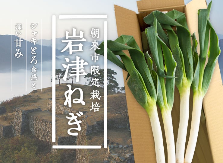 天空の城・竹田城の麓で育った朝来特産 岩津ねぎ