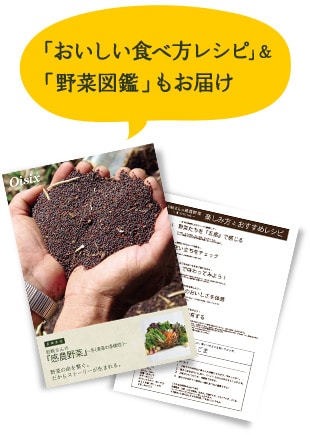 岩崎さんの『感農野菜』｜ Oisix産直おとりよせ市場