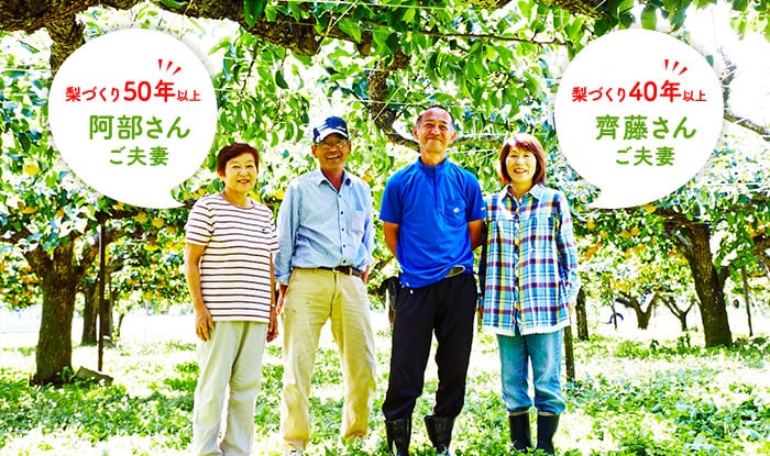 真心こめて育てた梨をお届けします!