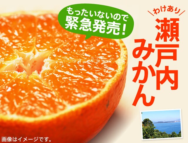 せとうちふぞろいみかん｜ Oisix産直おとりよせ市場