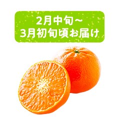 重さんのみかん