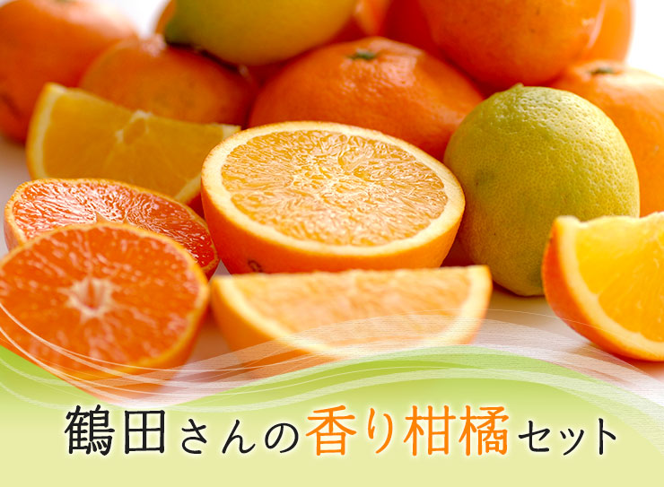 熊本から届くお母さんたちからの贈り物 鶴田さんの香り柑橘セット
