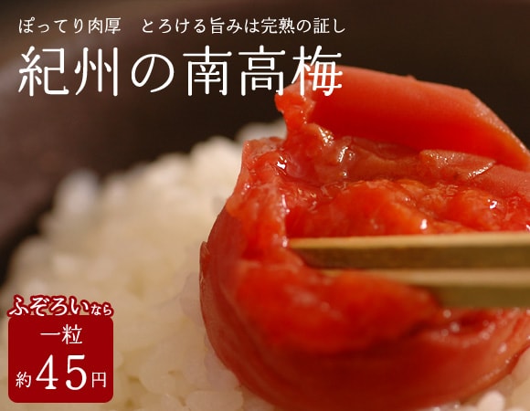 �I�B�̓썂�~