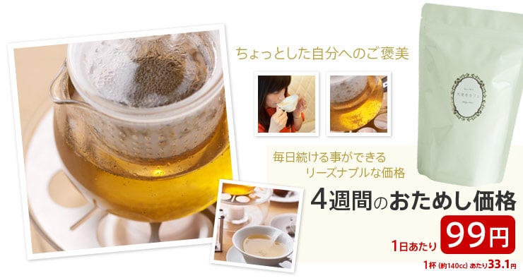 4�T�Ԃ����߂����i 1��������99�~