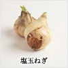 塩玉ねぎ