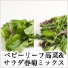 ベビーリーフ高菜&サラダ春菊ミックス