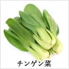 チンゲン菜