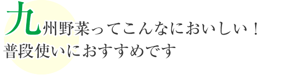 九州野菜ってこんなにおいしい!
普段使いにおすすめです