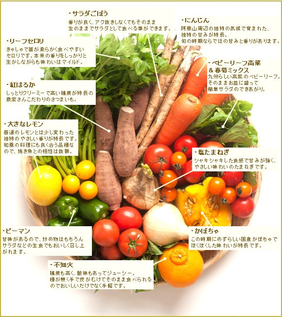 九州野菜ってこんなにおいしい!
普段使いにおすすめです