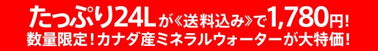 ��l�C���������i���Q�N�Ԃ�ɍē��ׁI���ʌ���ő���� ���� �ő�38��OFF