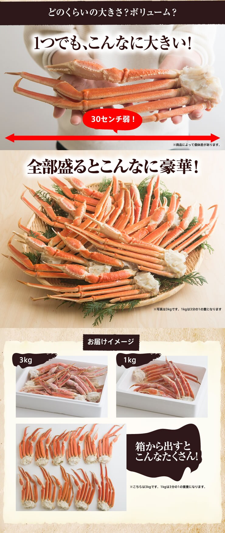 濃縮あまみ ズワイガニ