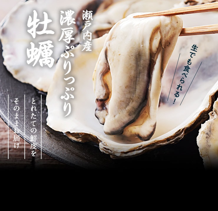 �L�������琣�˓��Y �Ղ���Ղ色�y���Y�n�����I