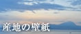 �Y�n�̕ǎ�