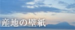 �Y�n�̕ǎ�