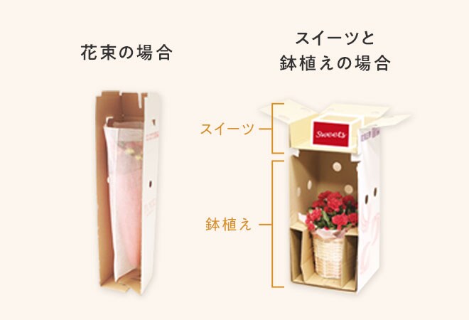 ���S�̐�pBOX�ł��͂�