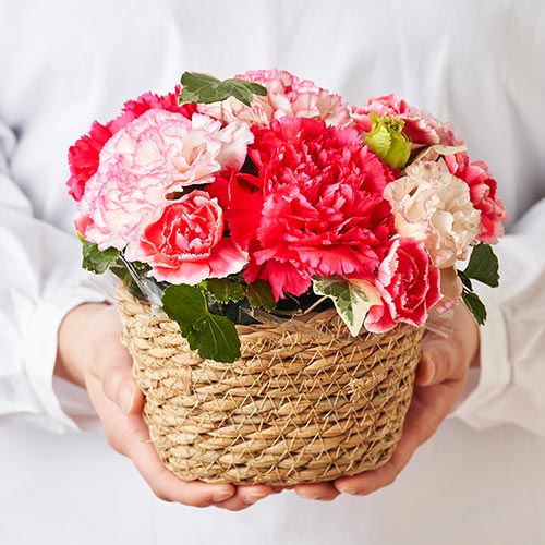�o�X�P�b�g�A�����W �u���C�g�s���N