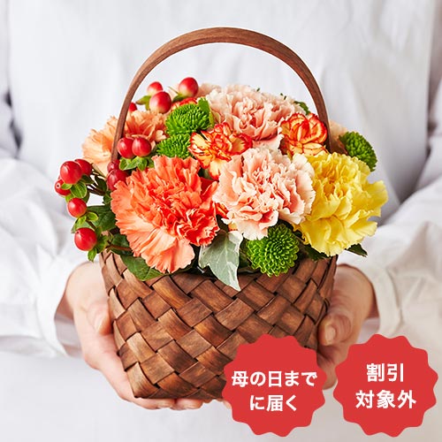�o�X�P�b�g�A�����W �r�^�~���J���[