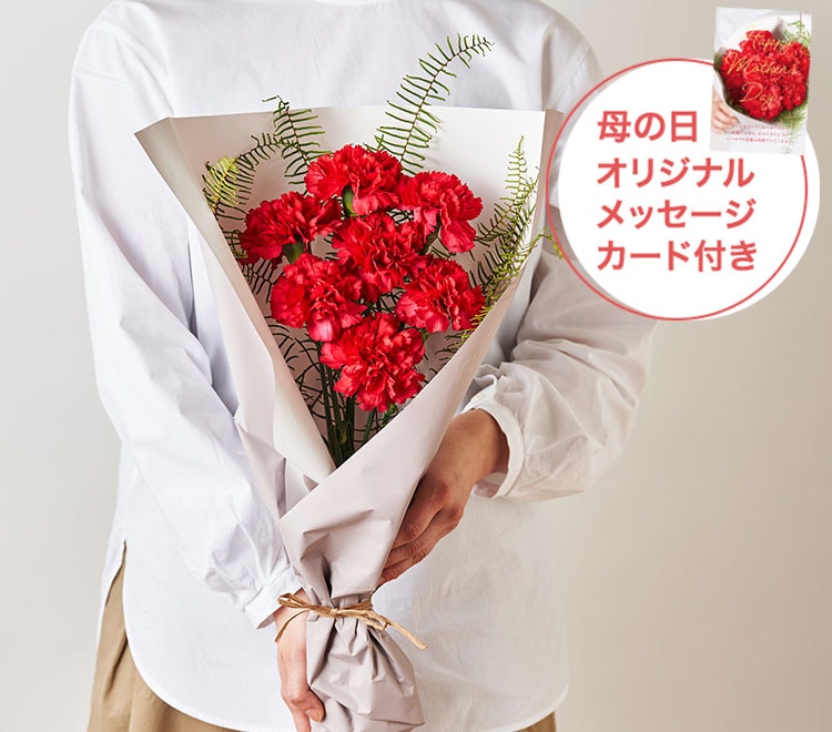 �X���C�_�[�摜2