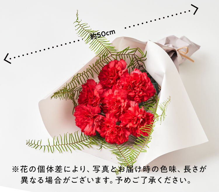 �X���C�_�[�摜5