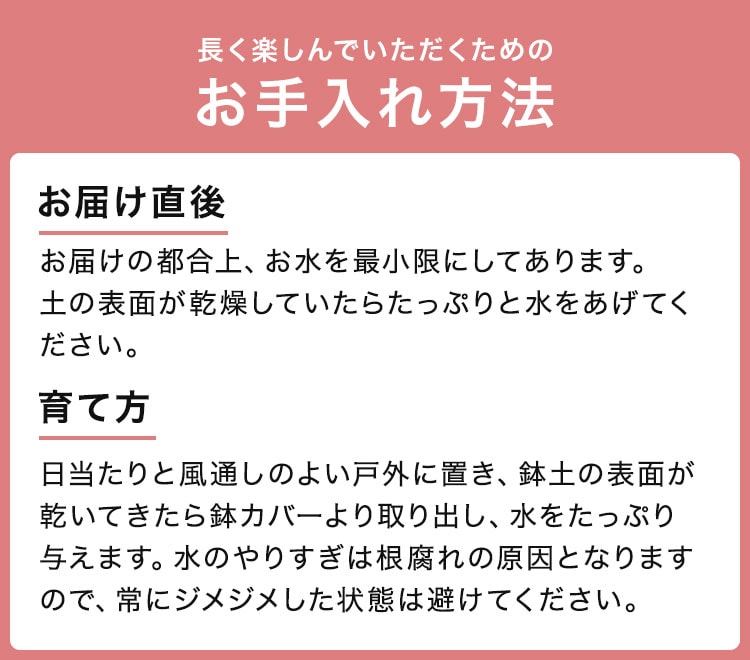 �X���C�_�[�摜6