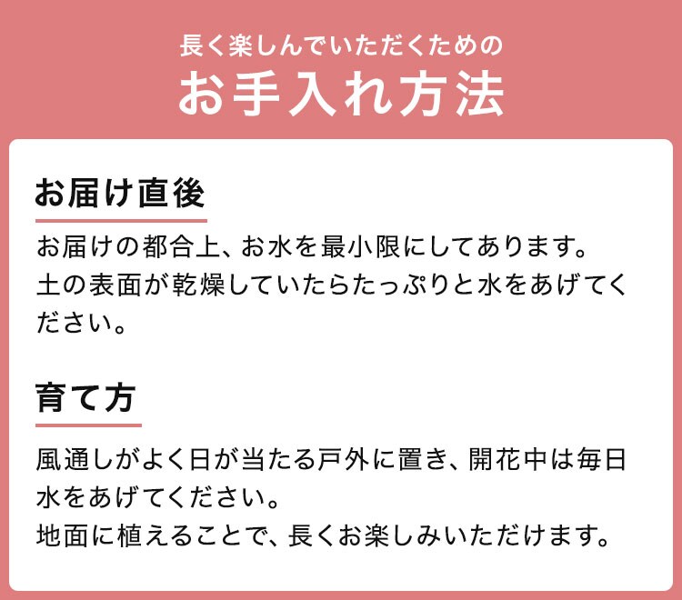 スライダー画像2
