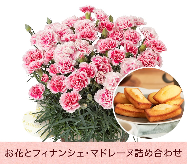 スライダー画像1