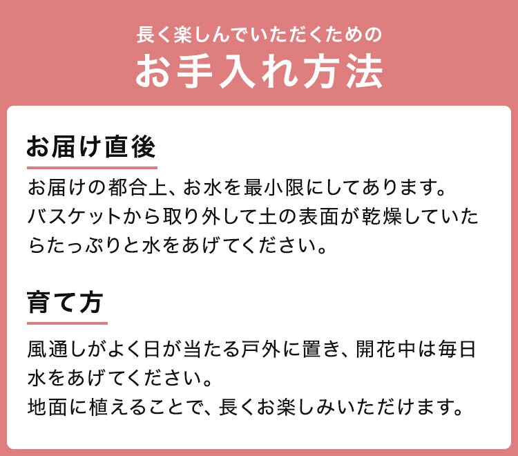 スライダー画像2
