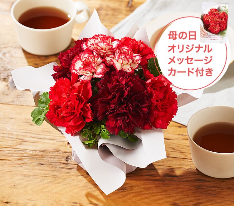 �X���C�_�[�摜2