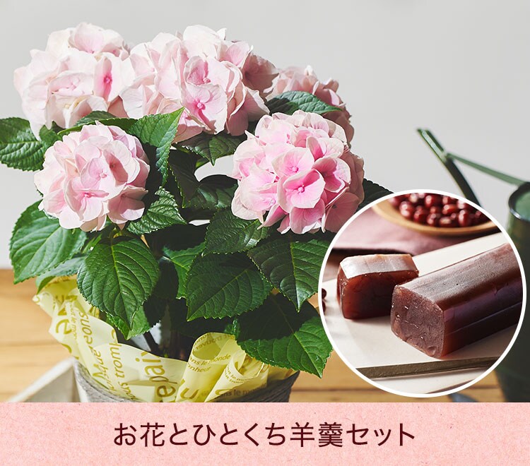 �X���C�_�[�摜1