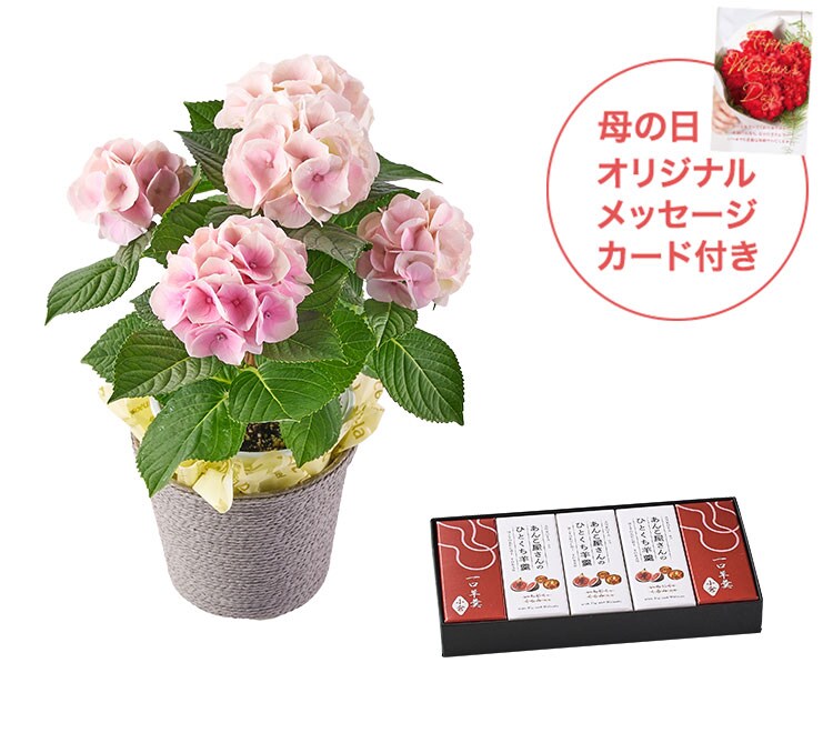 �X���C�_�[�摜6