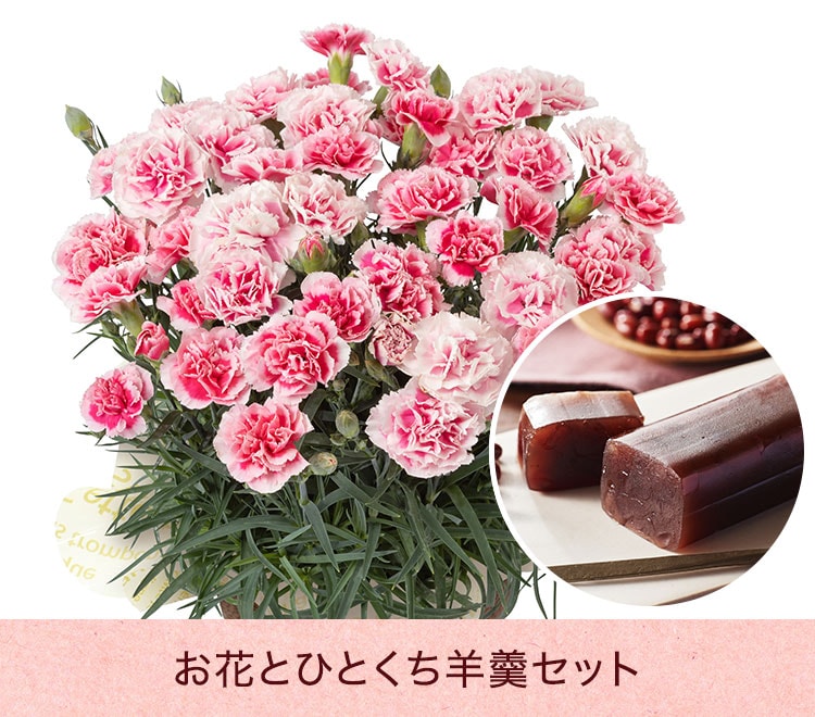 スライダー画像1